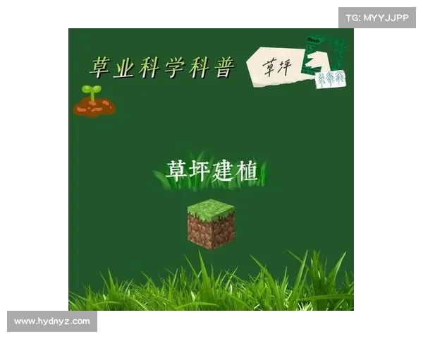 提升草坪质量的关键因素及养护技巧解析 提升草坪质量的关键因素及养护技巧解析